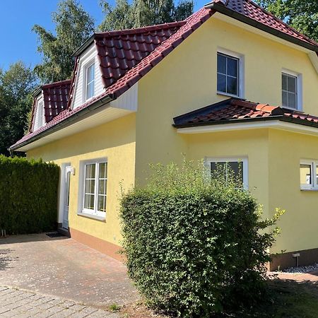 זינקסט Ferienhaus Strandoase מראה חיצוני תמונה